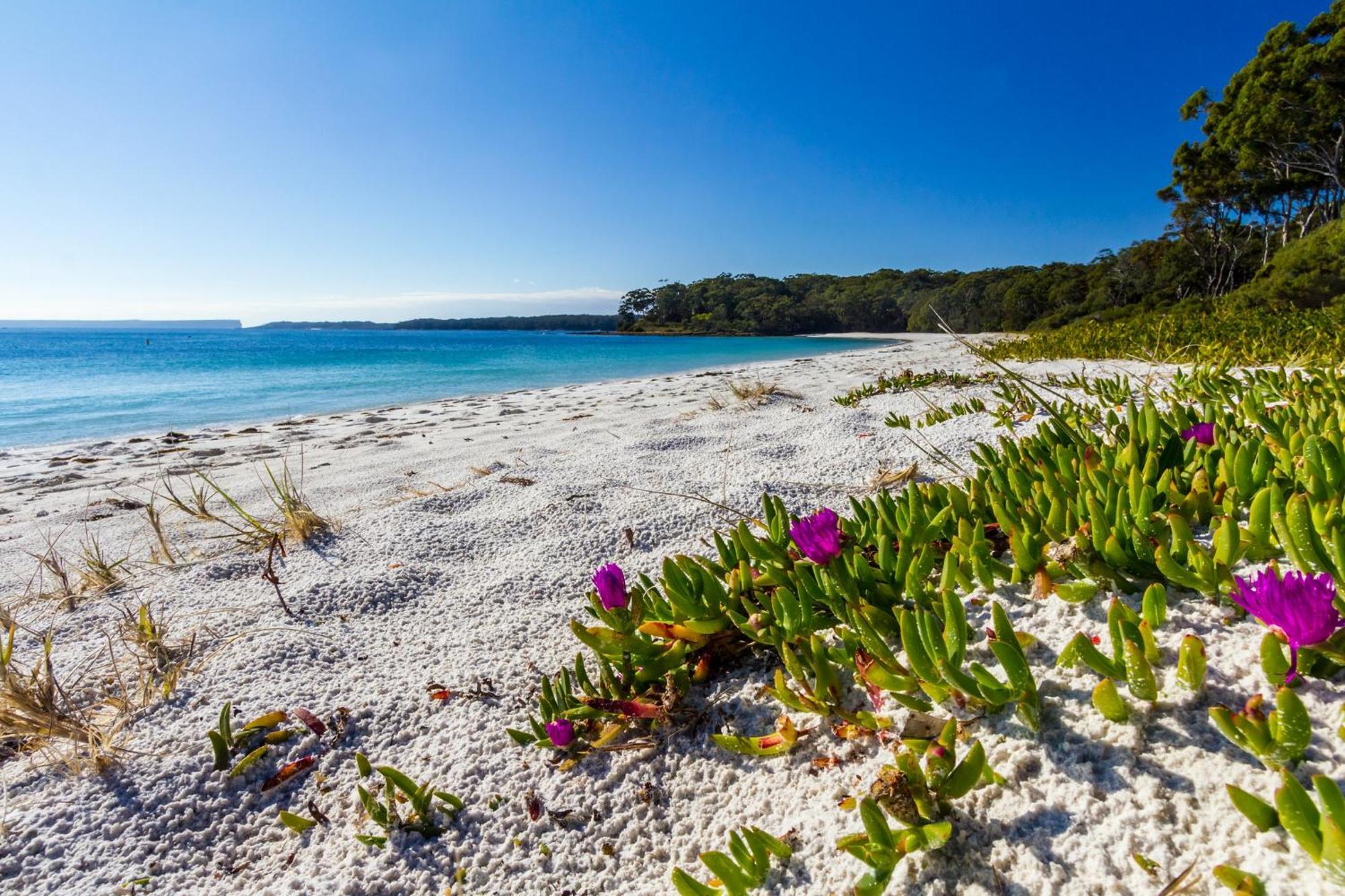 Bay And Bush Jervis Bay Villa Huskisson Exterior foto